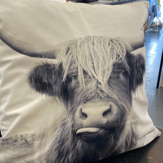 Highland Cow Couch Cushion