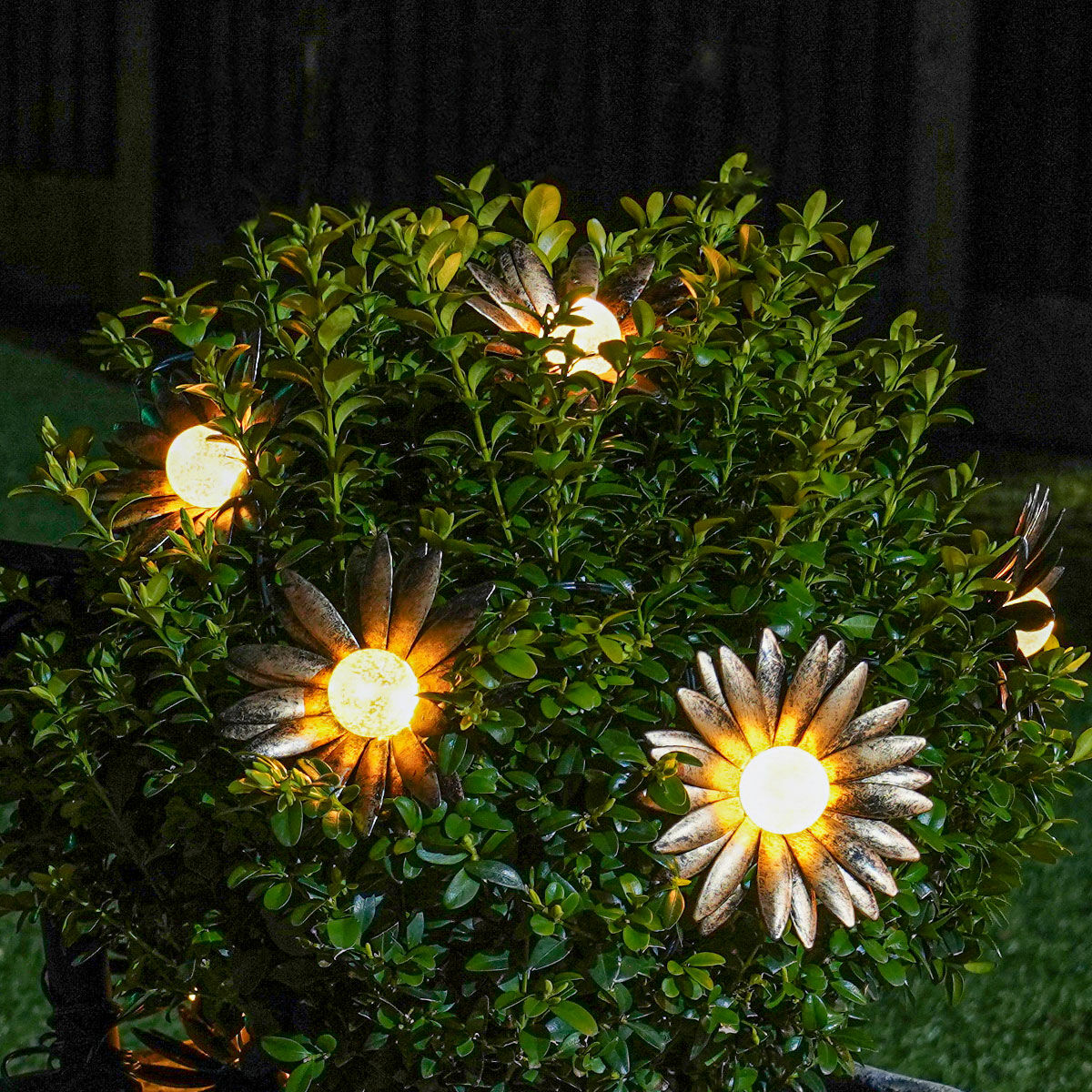 Metal Daisy Lights