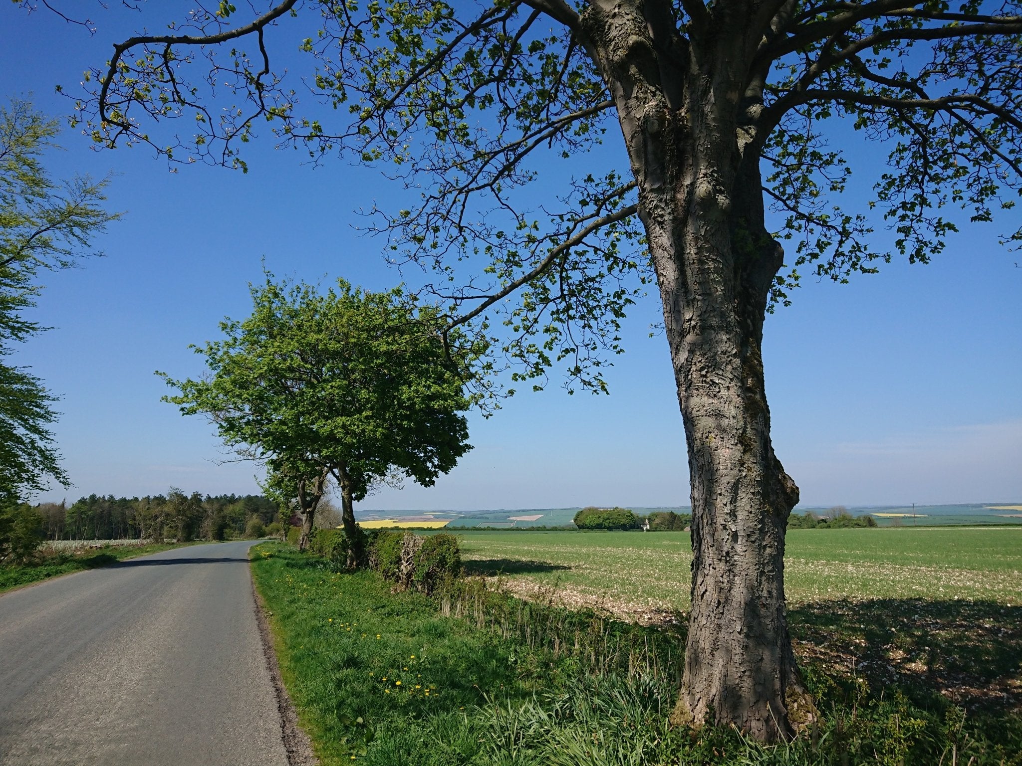 In the pipelines - Whats coming for Luminosity