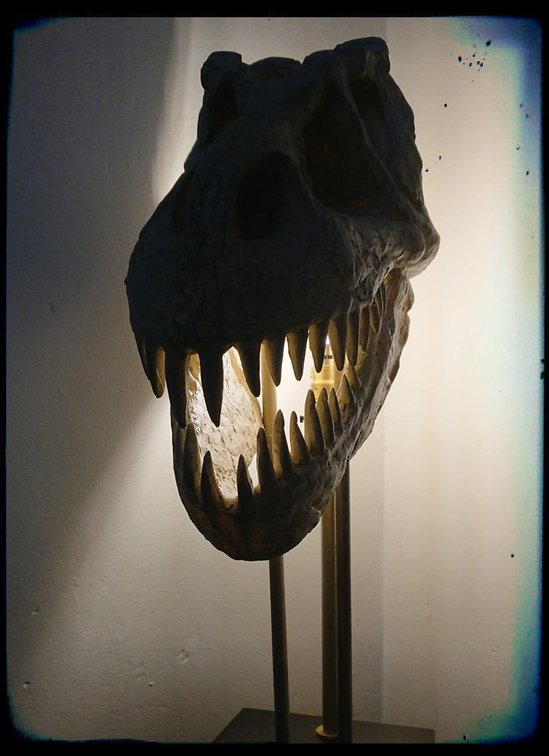 Autumn and Halloween - Luminosity Designs Ltd