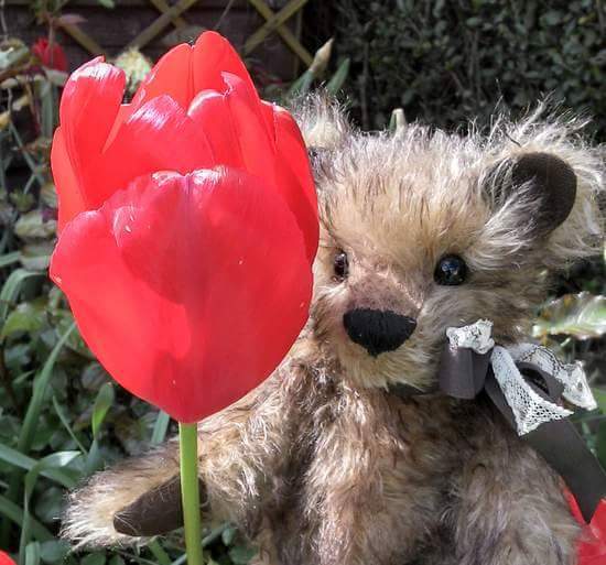 Kitty B Bears - Luminosity Designs Ltd