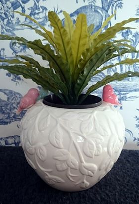 Summer and Holidays - Luminosity Designs Ltd