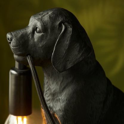 Labrador Puppy Sculpture Table Lamp With Braided Cable and E14 Lamp holder (ENDON 107364 / 107365)