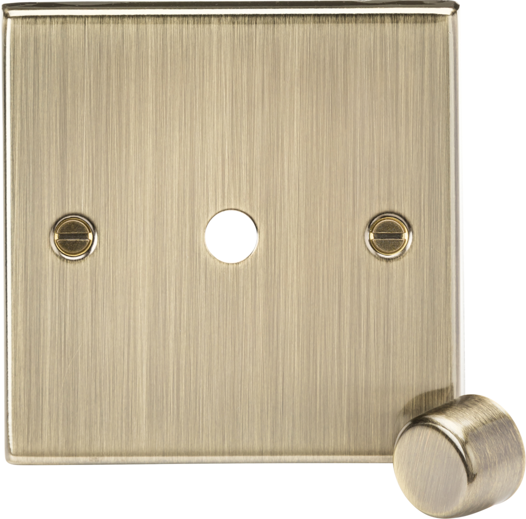 1G Dimmer Plate with Matching Metal Dimmer Cap