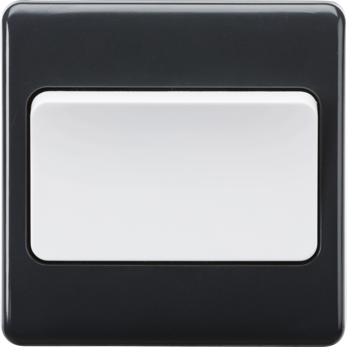 Disability Friendly 10AX 1G DP Wide Rocker Switch