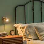 Benton Plug in Single Wall Light with Flex and Inline Switch