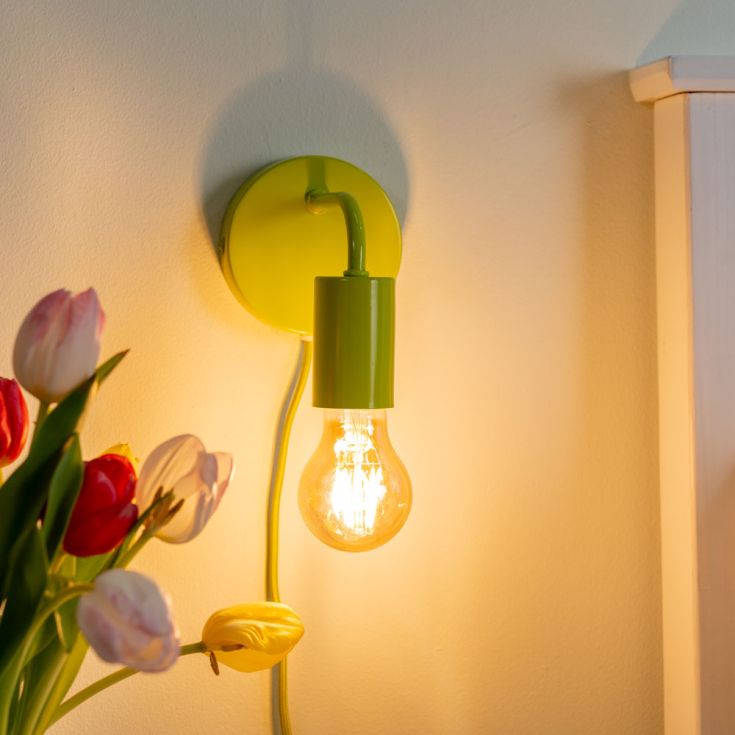 Jordy Simple Colour Pop Plug In Wall Light