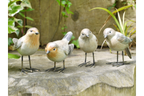 Small Playful Bird Ornaments - 4 Designs Available