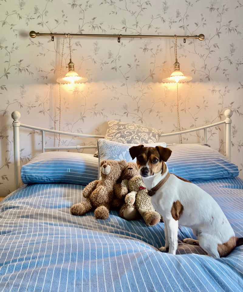 Plug in Vintage Style Custom Lights With Opal Glass