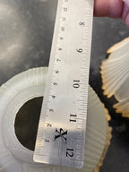 (31) Unknown Fitting - Floral Style Shade for ES lampholder