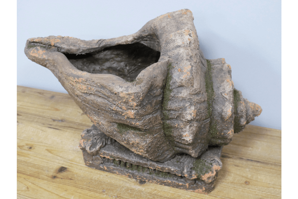 Shell Effect Planter Aged Stone Effect Conch Shell Planter – Luminosity Designs Ltd