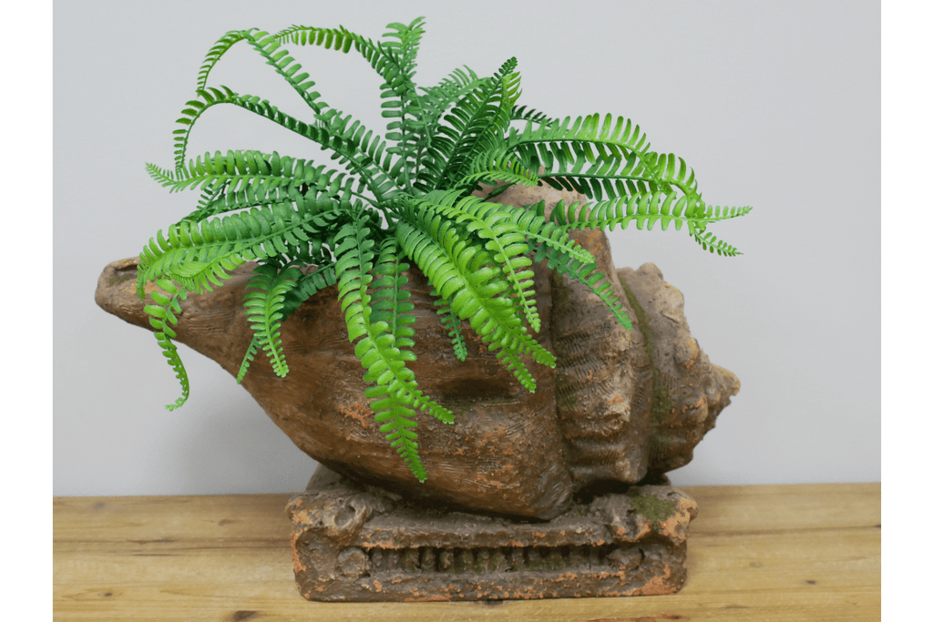 Shell Effect Planter Aged Stone Effect Conch Shell Planter – Luminosity Designs Ltd