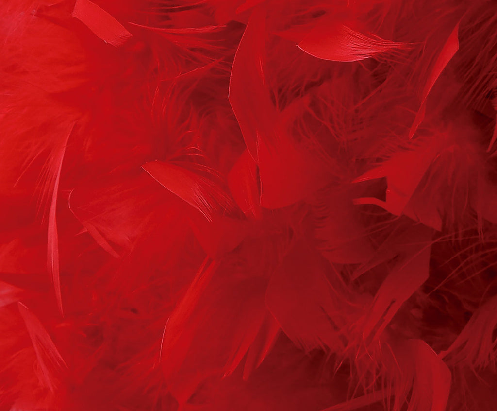 Diyas - Arqus Feather Shade - Luminosity Designs Ltd