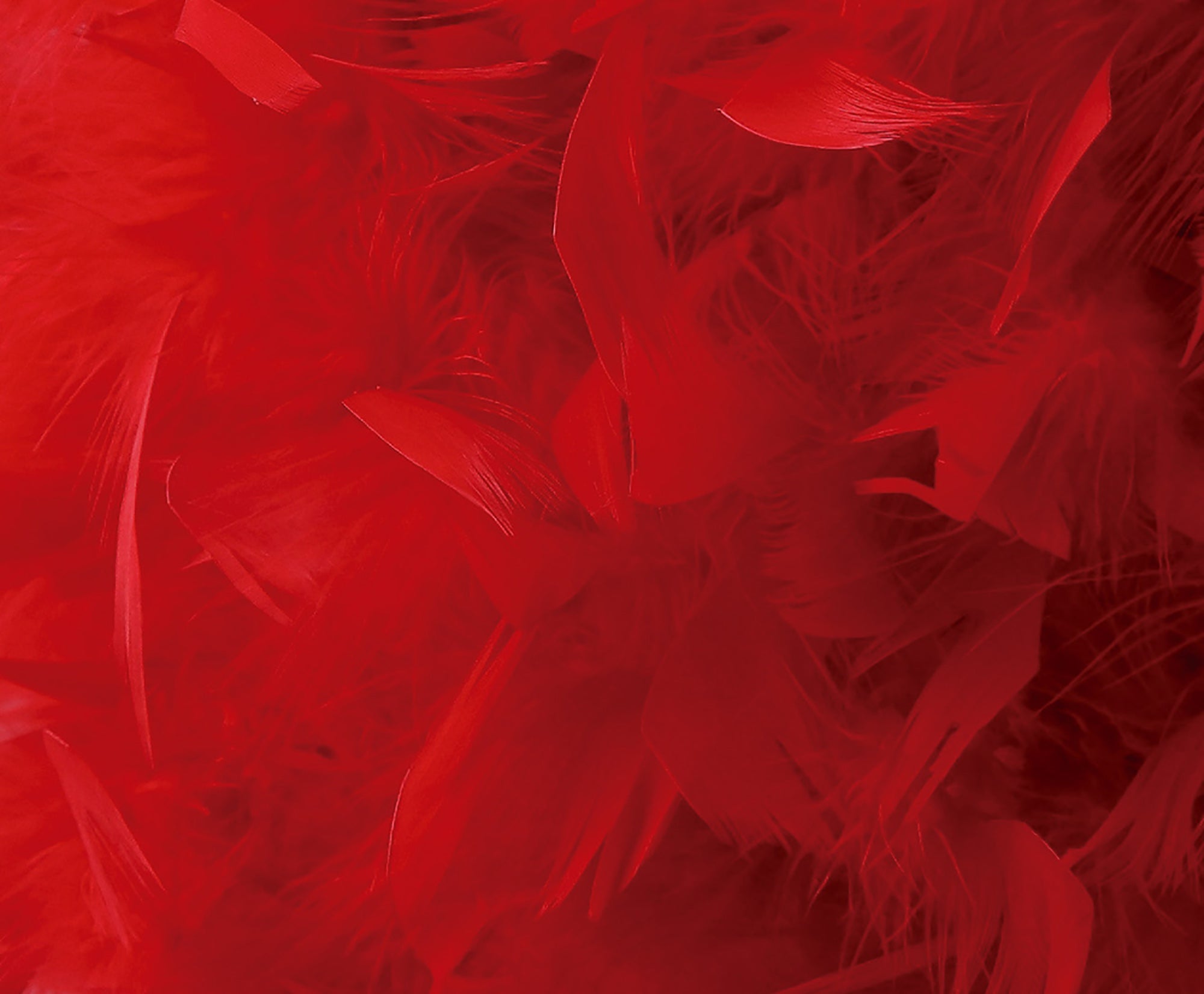 Diyas - Arqus Feather Shade - Luminosity Designs Ltd