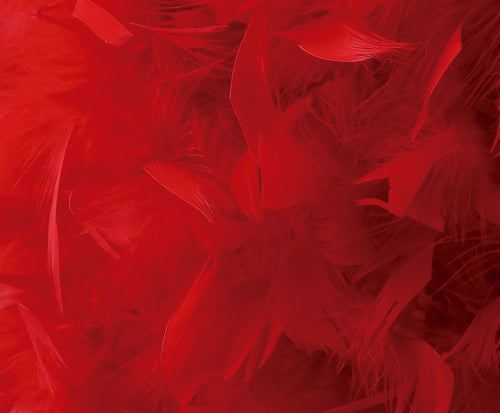 Diyas - Arqus Feather Shade - Luminosity Designs Ltd