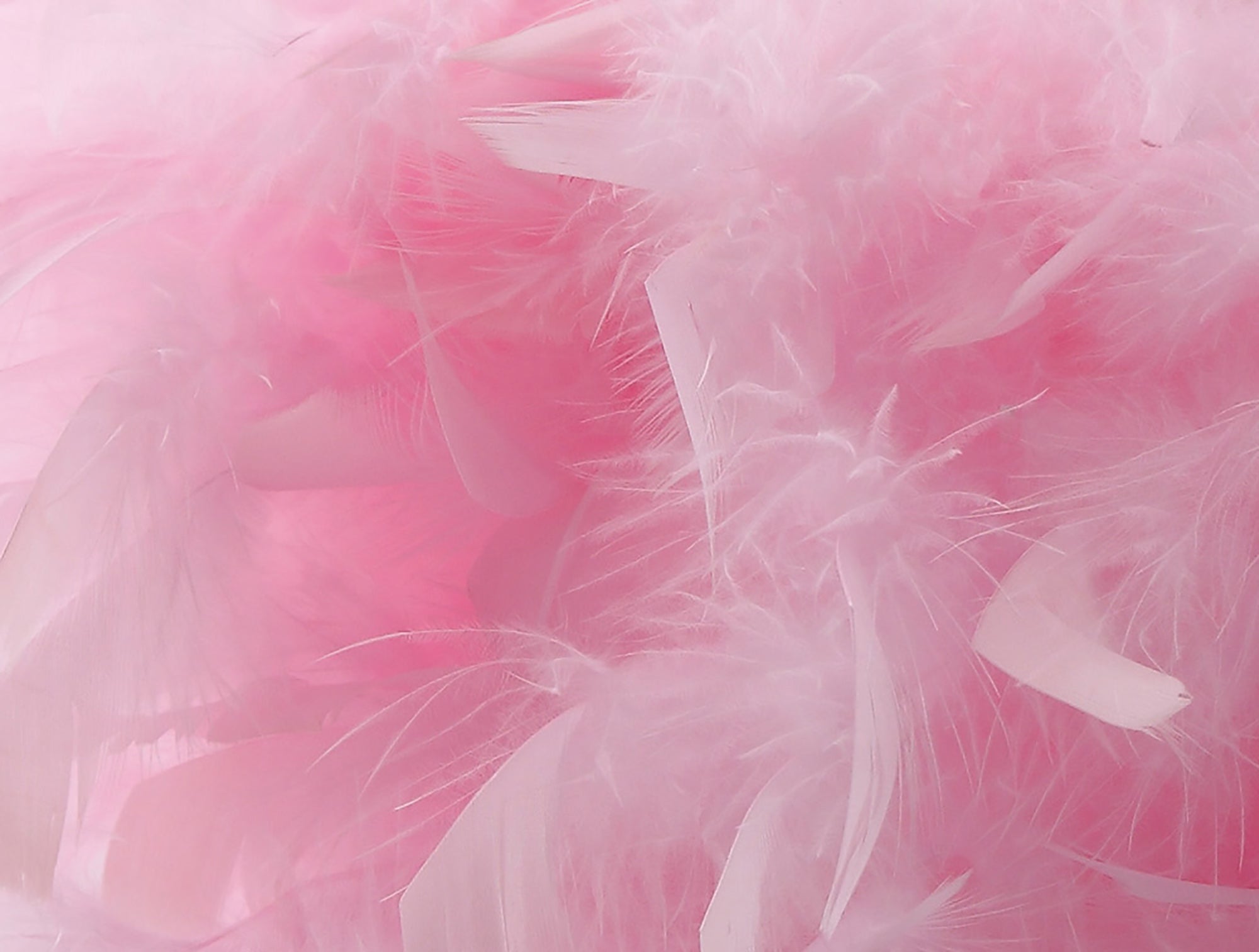 Diyas - Arqus Feather Shade - Luminosity Designs Ltd