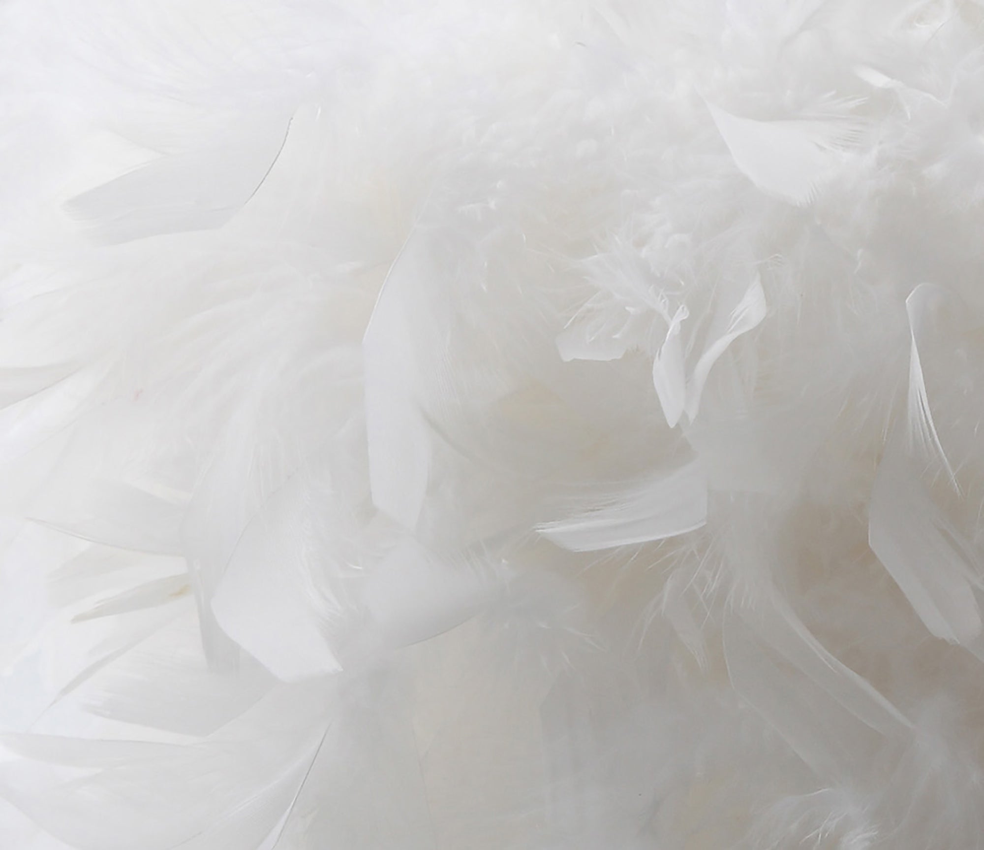 Diyas - Arqus Feather Shade - Luminosity Designs Ltd