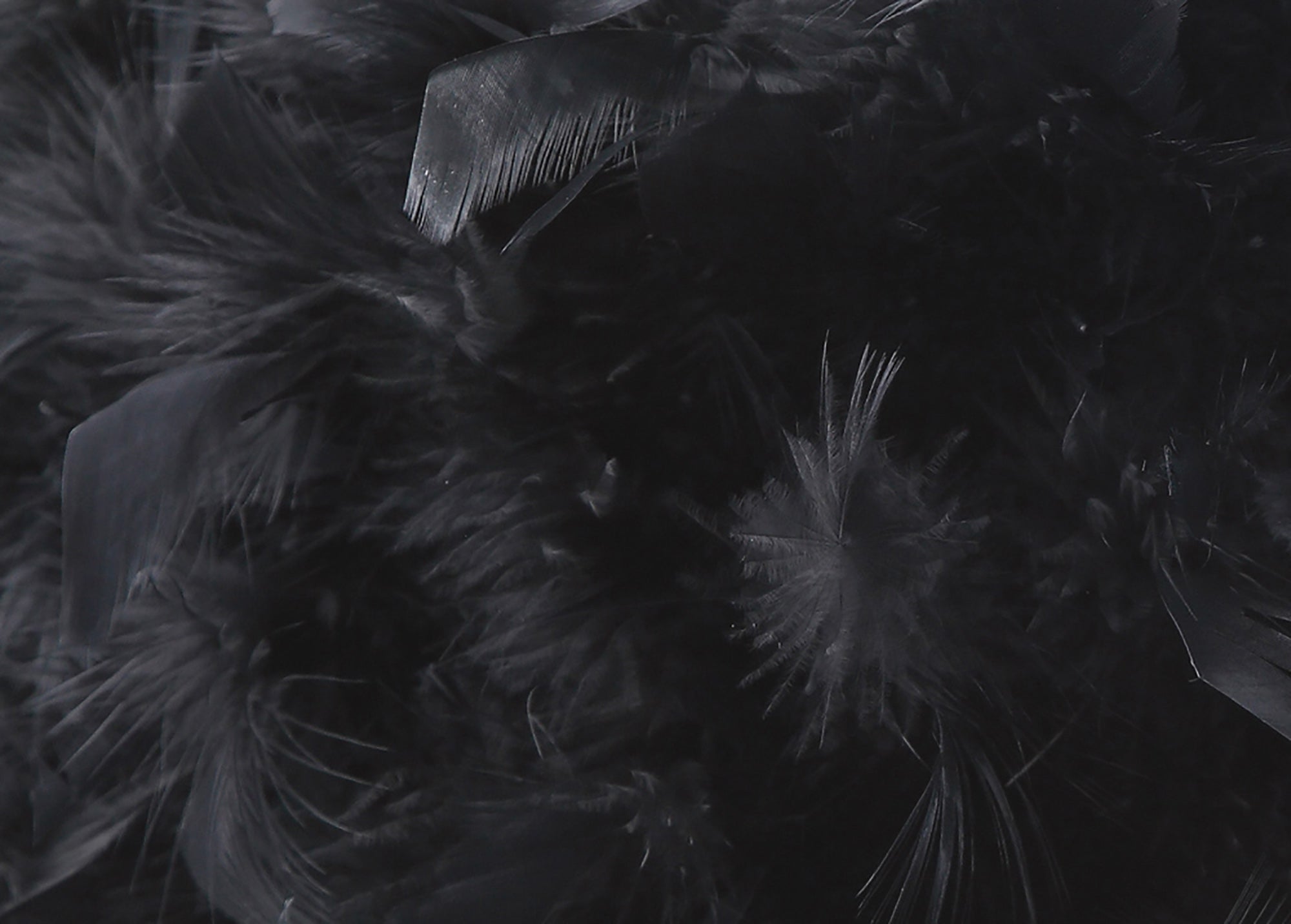 Diyas - Arqus Feather Shade - Luminosity Designs Ltd