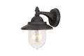 Integral LED - Assan Downward Wall Lantern, 1 x E27, IP44, Anthracite/Clear Glass - Luminosity Designs Ltd