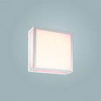 Mantra Fusion - Bachelor Exterior or Bathroom Ceiling/Wall Integrated Light, 14W LED, 3000K, 1180lm, IP65 (Mantra m7055) - Luminosity Designs Ltd