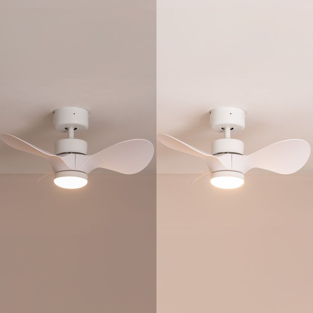 lse - Bladed 24 Inch Integrated LED Light Ceiling Fan with Remote Control - Luminosity Designs Ltd