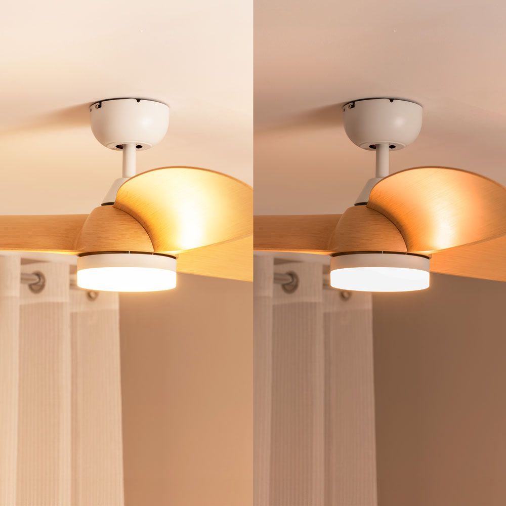 lse - Bladed 36 Inch Integrated LED Light Ceiling Fan with Remote Control - Luminosity Designs Ltd