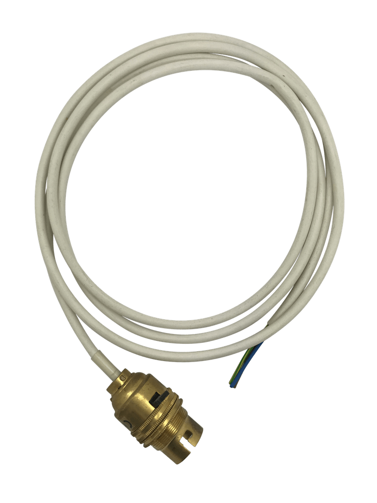 Luminosity Designs - Brass BC Switched Lampholder Pre Wired with 3m Flex (Half Inch) - Luminosity Designs Ltd