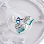 Saxby - Ceto Slimline Bulkhead 12W CCT Circular Flush Fitting - IP54 Rated - Luminosity Designs Ltd