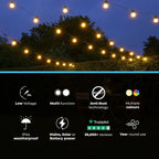Connect Pro - Connect Go Connectable Festoon Lights with G50 Clear Filament Effect Bulbs on Black Rubber Cable - Luminosity Designs Ltd