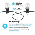 Connect Pro - Connect Go Connectable Festoon Lights with G50 Clear Filament Effect Bulbs on Black Rubber Cable - Luminosity Designs Ltd