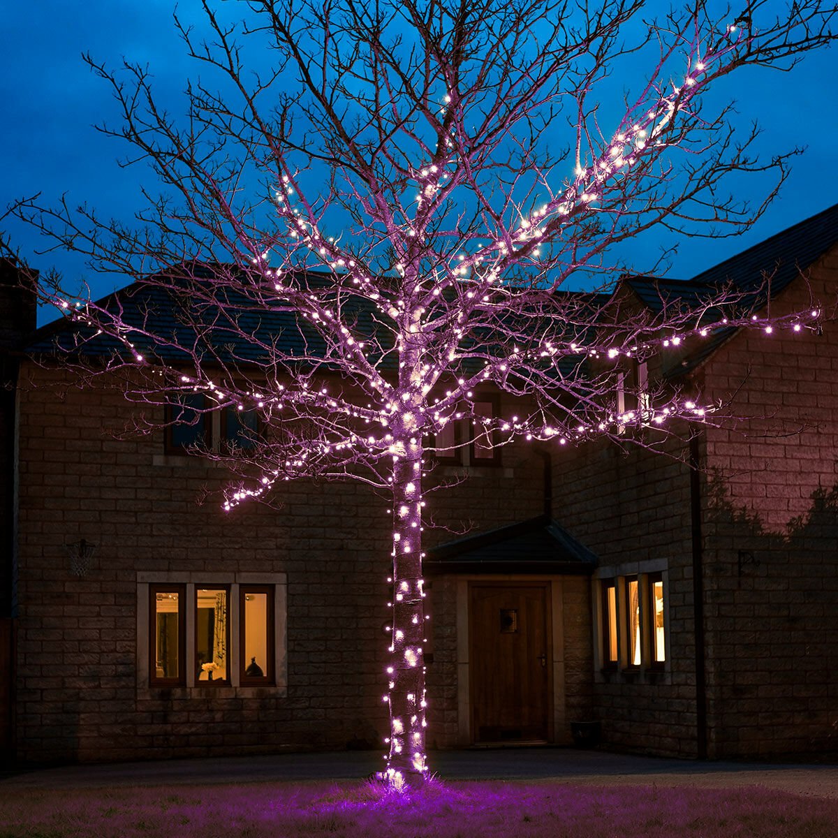 Connect Pro - Connect Go - Outdoor Domestic LED Fairy Lights, Connectable, Dark Green Cable - Luminosity Designs Ltd