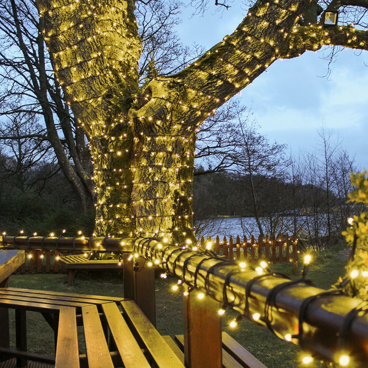 Connect Pro - Connect Go - Outdoor Domestic LED Fairy Lights, Connectable, Dark Green Cable - Luminosity Designs Ltd