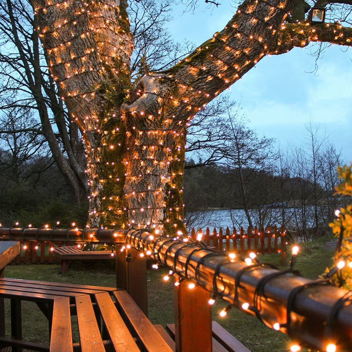 Connect Pro - Connect Go - Outdoor Domestic LED Fairy Lights, Connectable, Dark Green Cable - Luminosity Designs Ltd