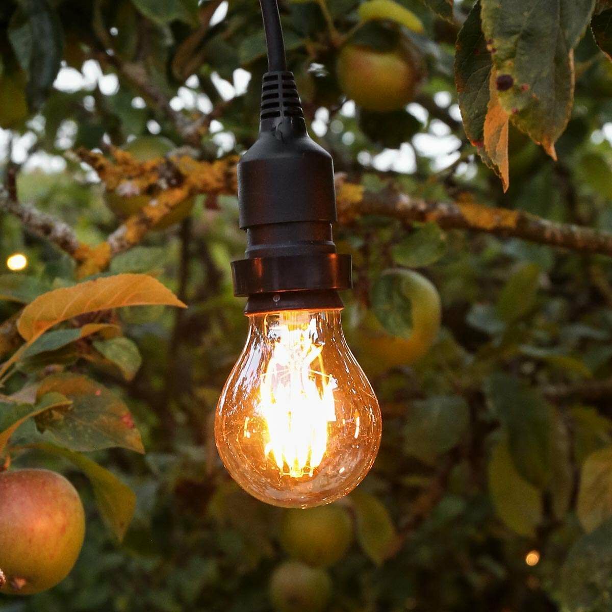 Connect Pro - Connectable Commercial Outdoor FESTOON Bulbs - 4W Dimmable - Luminosity Designs Ltd