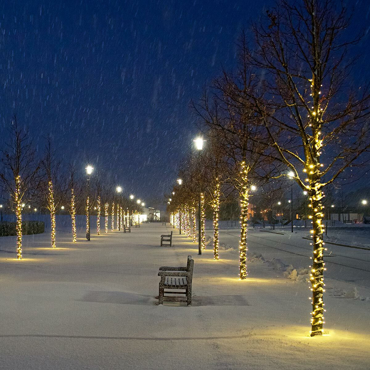 Connect Pro - Connectable Professional Grade Outdoor Christmas String Lights - Flashing - Luminosity Designs Ltd