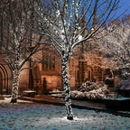 Connect Pro - Connectable Professional Grade Outdoor Christmas String Lights - Flashing - Luminosity Designs Ltd