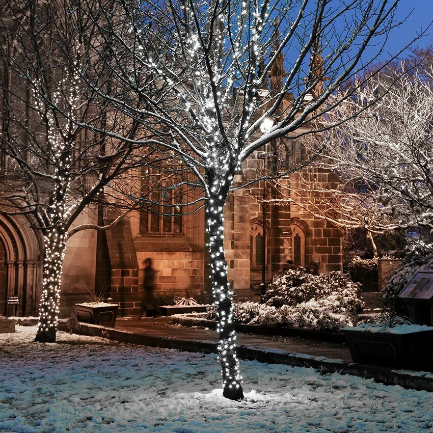 Connect Pro - Connectable Professional Grade Outdoor Christmas String Lights - Flashing - Luminosity Designs Ltd