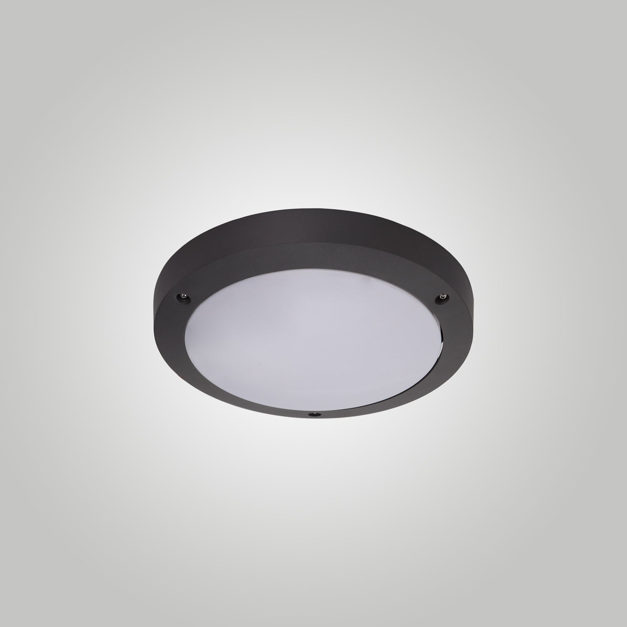 Deco - Daru Waterproof Bulkhead Light - Luminosity Designs Ltd