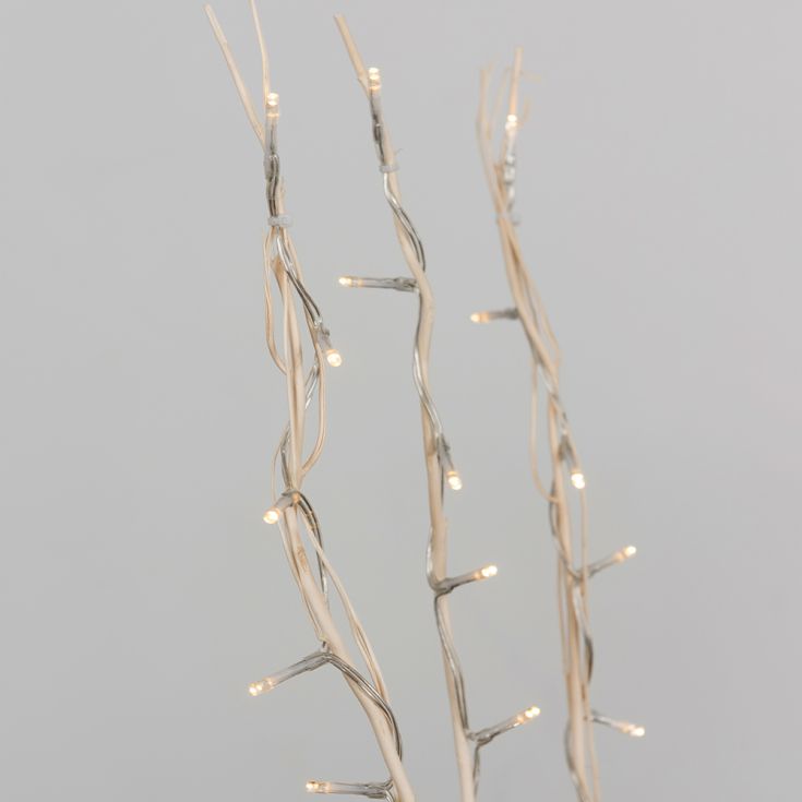 Luminosity Designs - Decorative Natural Twig Lights - Luminosity Designs Ltd