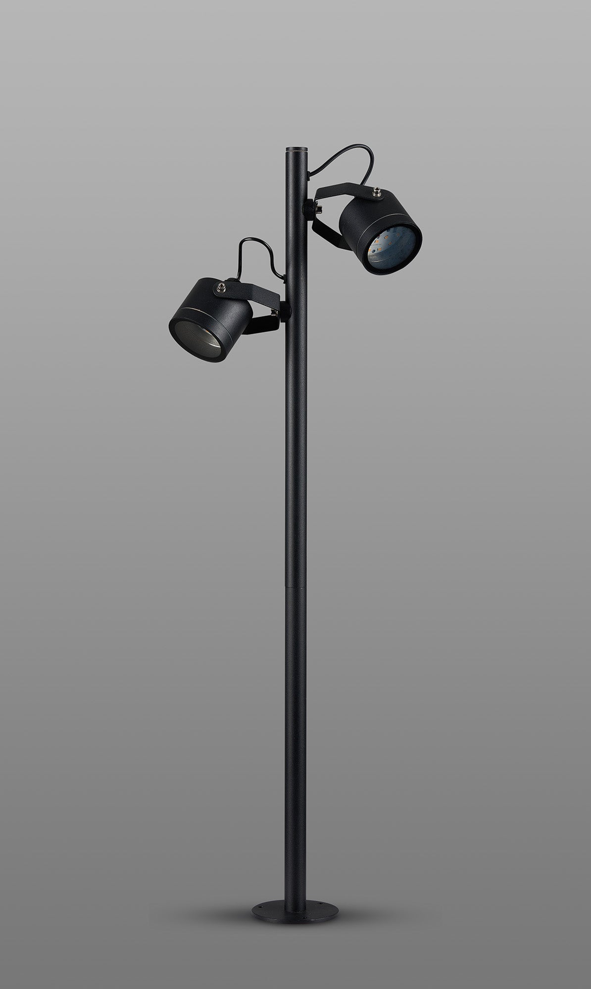 Delores 24V DC Post Spot, 2 in 1 Ground Spike/Fixed Base, 2 x 3W LED, 3000K,