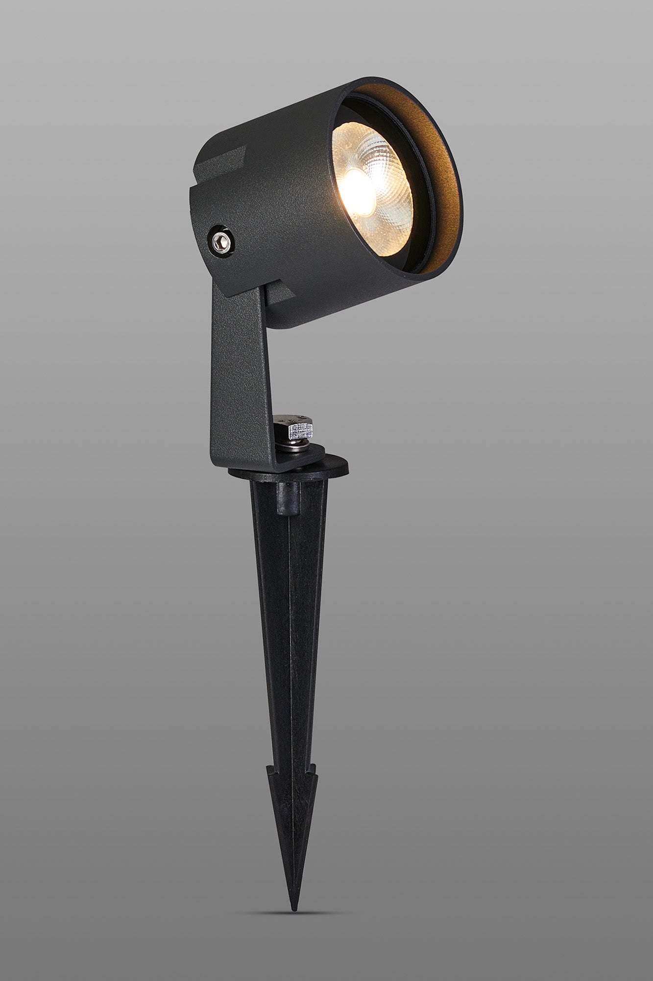 Delores IP65 24V DC Spotlight, 2 in 1 Ground Spike/Fixed Base, 6W LED, 3000K,