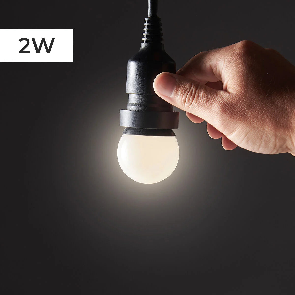 Connectable Commercial Outdoor FESTOON Bulbs - 2w NON DIMMABLE