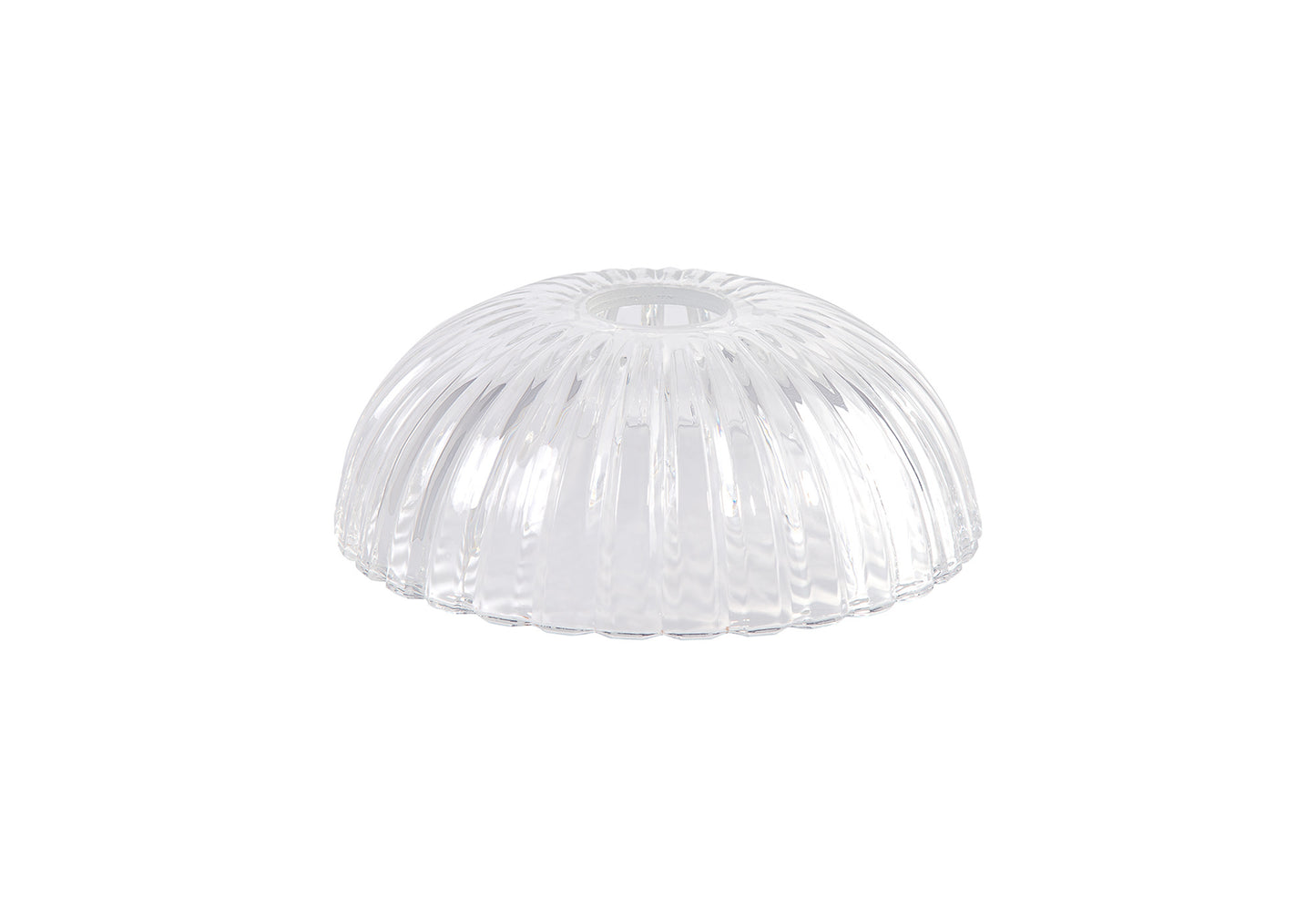 Shell Dome Glass Lampshade