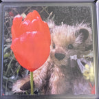 Kitty B Bears - Handmade Perspex Bear Coaster - Luminosity Designs Ltd