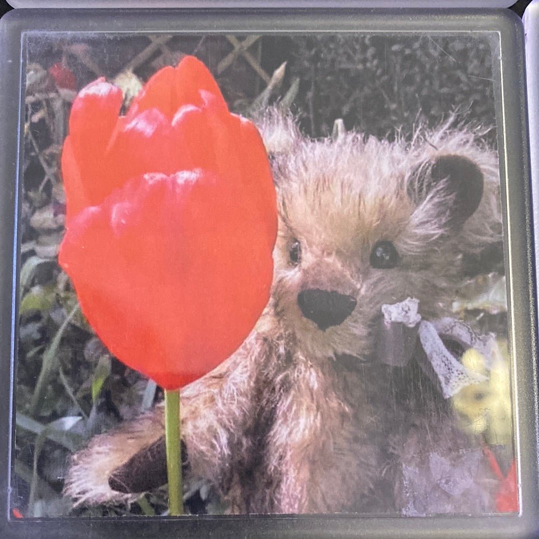 Kitty B Bears - Handmade Perspex Bear Coaster - Luminosity Designs Ltd