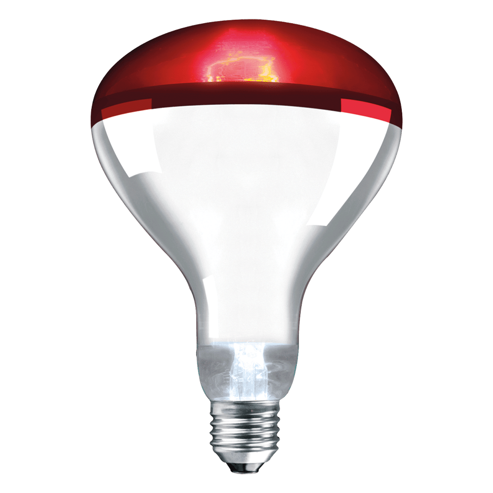 Crompton - Infrared Reflector Lamp Ruby Non - Dimmable 250W 1500K ES - E27 - Luminosity Designs Ltd