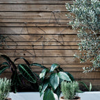 LSE - IP44 Small Black Outdoor Warm White Star Light - Luminosity Designs Ltd