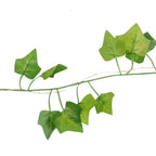 Connect Pro - Ivy Light String - Luminosity Designs Ltd