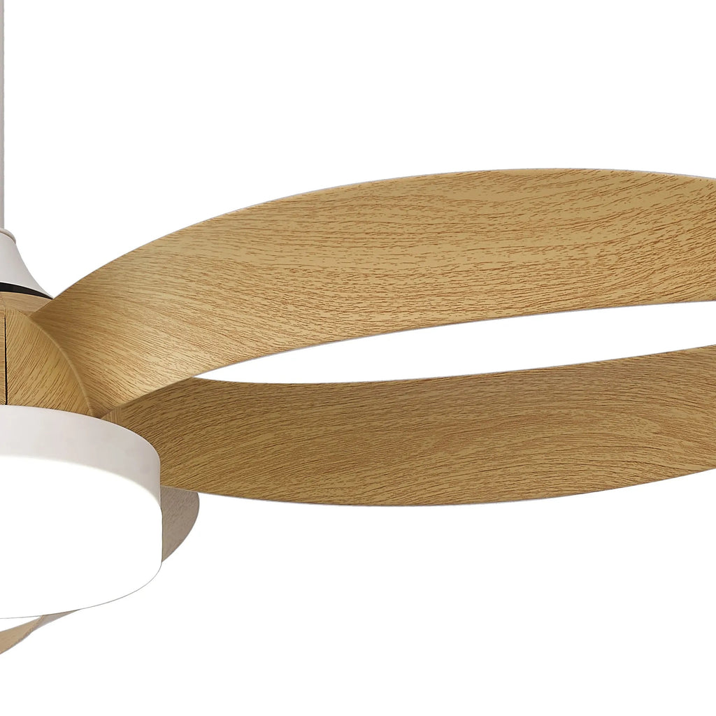 Mantra - Mantra Infinity Fan 92.6cm 24W LED Dimmable Ceiling Light With Built - In 30W DC Reversible Fan, Remote Control 2700 - 5000K, 1800lm - Luminosity Designs Ltd
