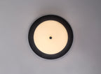 Luminosity Designs Ltd - Mist 35cm Bathroom Ceiling Light , 18W LED, 3000K, 1080lm, IP44 Rated - Luminosity Designs Ltd